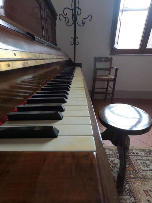 פיזה Romantic Suite מראה חיצוני תמונה